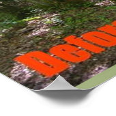 Wissenschaft und Wissenschaft Entwaldung Poster (Ecke)