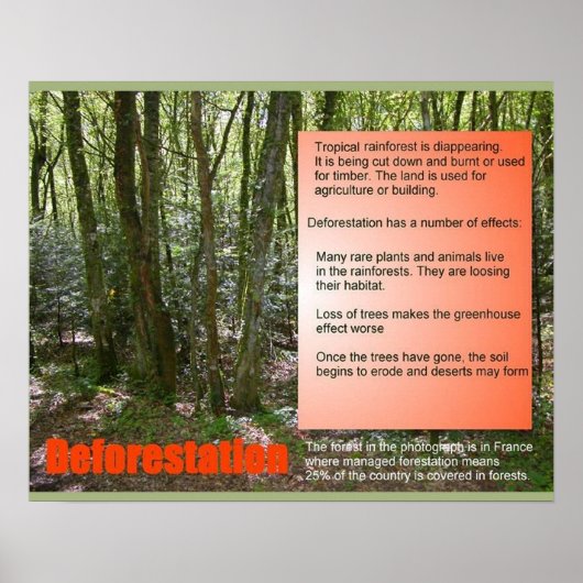 Wissenschaft und Wissenschaft Entwaldung Poster (Vorne)