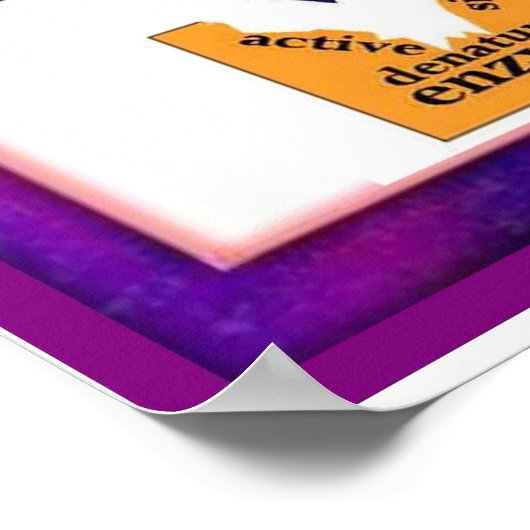 Wissenschaft, Verdauung, vergessene Enzyme Poster (Ecke)