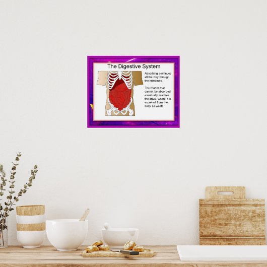 Wissenschaft, Verdauungssystem Poster (Küche)