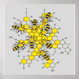 Wissenschaft von Honig und Bienen  Geschenk für Bi Poster