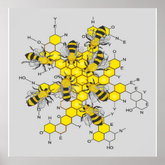 Wissenschaft von Honig und Bienen| Geschenk für Bi Poster