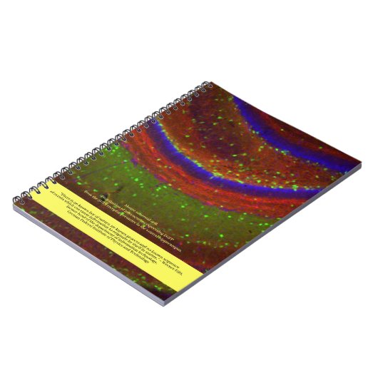 Wissenschaftler sagen: ... Gitter Zitat und neuron Notizblock (Linke Seite)