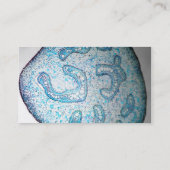 Wissenschaftler-Visitenkarte Visitenkarte (Rückseite)