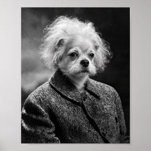 Wissenschaftlerhund mit wildem Haar in einem Vinta Poster