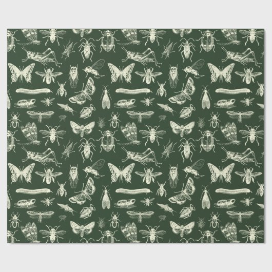 Wissenschaftliche antike Bugs Insekten Creme und G Geschenkpapier (Flach)