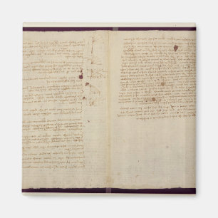 Wissenschaftliche Diagramme Magnet