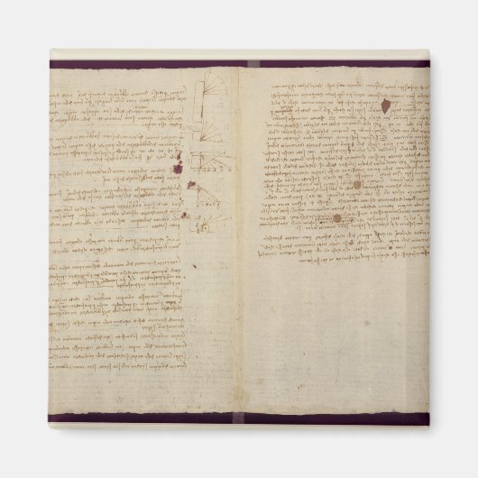 Wissenschaftliche Diagramme Magnet (Vorne)