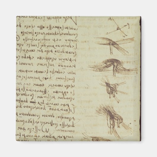 Wissenschaftliche Diagramme Magnet (Vorne)