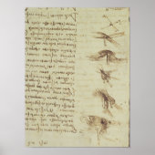 Wissenschaftliche Diagramme Poster (Vorne)