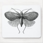 wissenschaftliche Illustration der Motte Mousepad (Vorne)