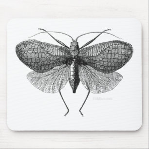 wissenschaftliche Illustration der Motte Mousepad