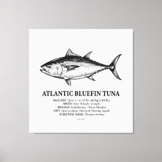 Wissenschaftliche Illustration des Roten Thuns Leinwanddruck