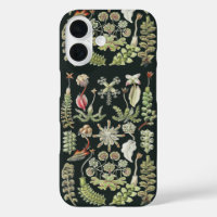 Wissenschaftliche Naturkunst Ernst Haeckel Lebermo