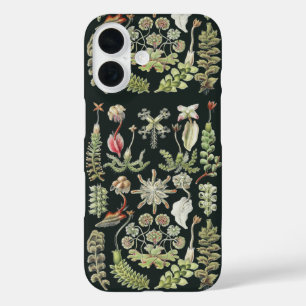 Wissenschaftliche Naturkunst Ernst Haeckel Lebermo iPhone 16 Hülle