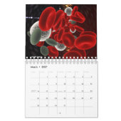 Wissenschaftlicher Bild-Kalender 2010 Kalender (Mär 2027)