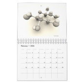 Wissenschaftlicher Bild-Kalender 2010 Kalender (Feb 2026)