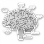 Wissenschaftliches Gehirn Aufkleber (Vorderseite)