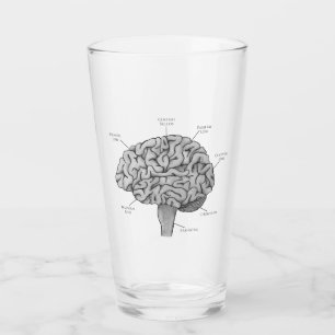 Wissenschaftliches Gehirn Glas