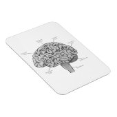 Wissenschaftliches Gehirn Magnet (Rechte Seite)