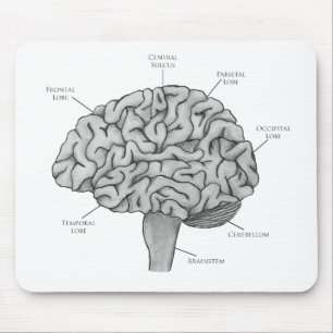 Wissenschaftliches Gehirn Mousepad