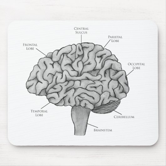 Wissenschaftliches Gehirn Mousepad (Vorne)