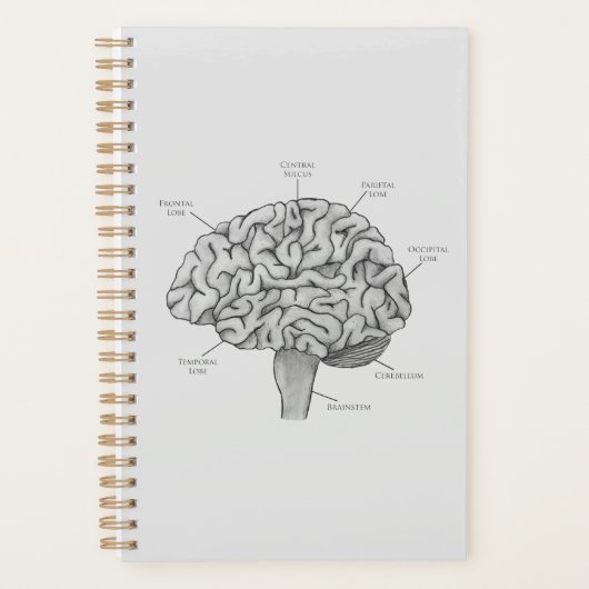 Wissenschaftliches Gehirn Planer (Vorderseite)