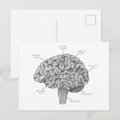 Wissenschaftliches Gehirn Postkarte (Vorne/Hinten)