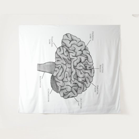 Wissenschaftliches Gehirn Wandteppich (Vorderseite (Horizontal))