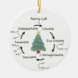 Wissenschaftsbiologie Krebs Zyklus Weihnachtslehre Keramik Ornament