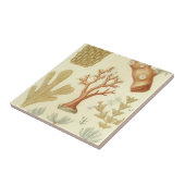 Wissenschaftslehrbuch Biologie, Vintage Korallenti Fliese (Seite)