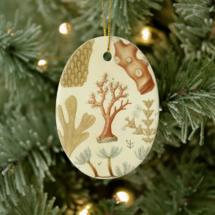 Wissenschaftslehrbuch Biologie, Vintage Korallenti Keramikornament