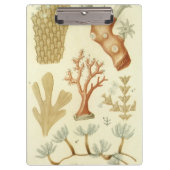 Wissenschaftslehrbuch Biologie, Vintage Korallenti Klemmbrett (Vorderseite)