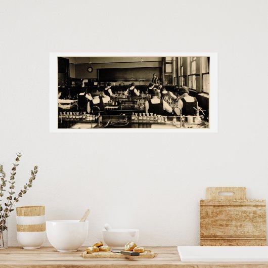 Wissenschaftsunterricht an der London Grammar Scho Poster (Küche)