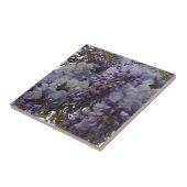 Wistaria Small (4,25" x 4,25") Keramik Foto Tile Fliese (Seite)