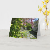 Wisteria and Rocking Chairs - Martha's Vineyard Karte (Gelbe Blume)