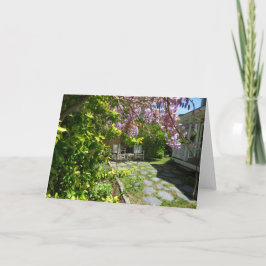 Wisteria and Rocking Chairs - Martha's Vineyard Karte