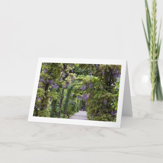 Wisteria-Blankenkarte Karte (Vorderseite)