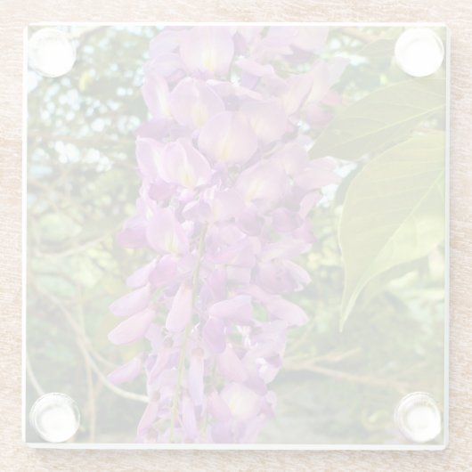 Wisteria Bloom Glasuntersetzer (Rückseite)
