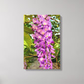 Wisteria Bloom Leinwanddruck (Vorderseite)