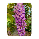 Wisteria Bloom Magnet (Vertikal)