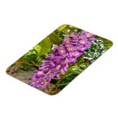Wisteria Bloom Magnet (Linke Seite)