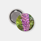 Wisteria Bloom Magnet (Vorderseite/Rückseite)