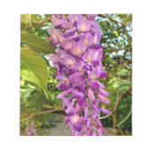 Wisteria Bloom Notizblock (Vorderseite)