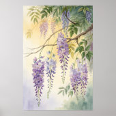 Wisteria Blossoms Poster (Vorne)