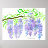 Wisteria blühender Baum Zweig Wasserfarbener Botan Poster (Vorne)
