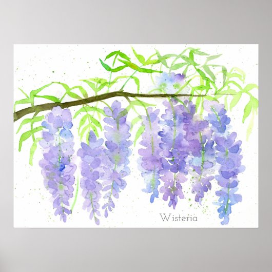 Wisteria blühender Baum Zweig Wasserfarbener Botan Poster (Vorne)