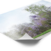 Wisteria blüht an einer Texas Road Fotodruck (Ecke)