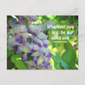 Wisteria Blume Attitude Postkarte (Vorderseite)