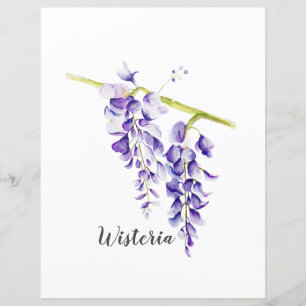 Wisteria Botanische Schriftzüge